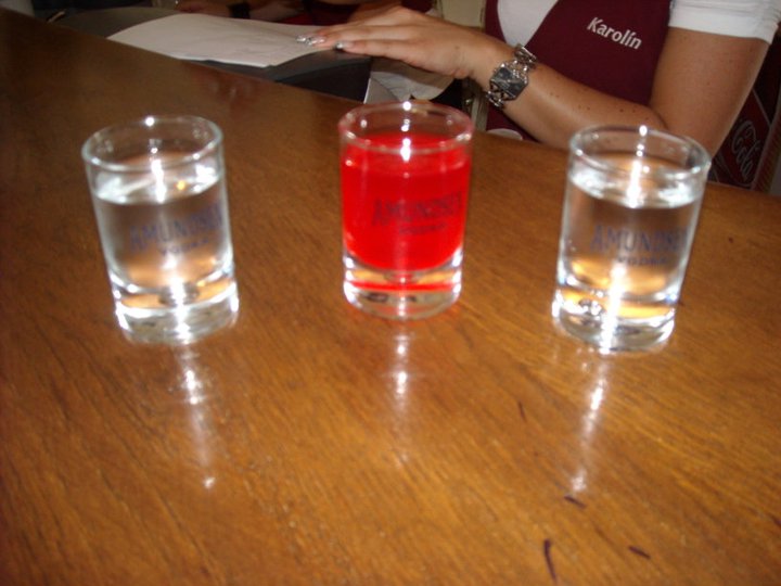Karolín Svatba venku 005