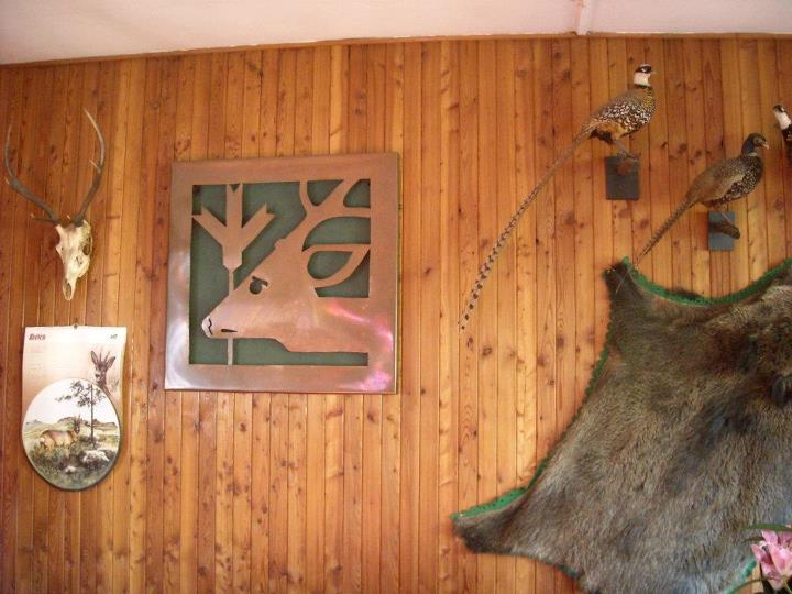 Narozeniny - Sedlčany - Hájenka. 004