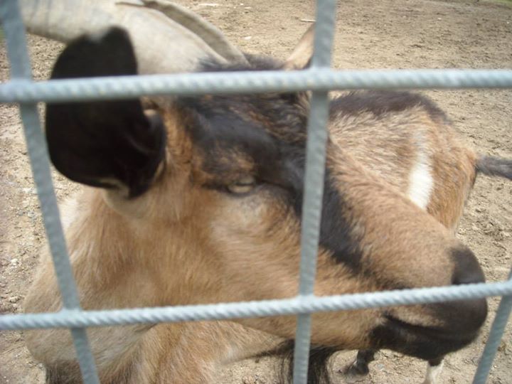 Soukromá akce - Svatba - Větrovy Zoo Tábor 008