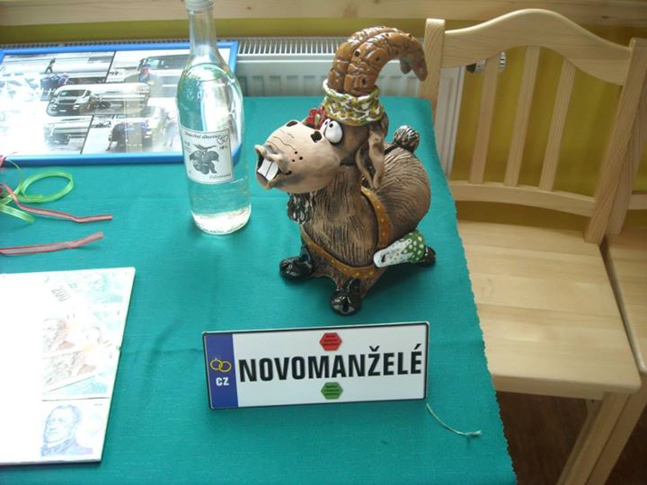 Soukromá akce - Svatba - Větrovy Zoo Tábor 009