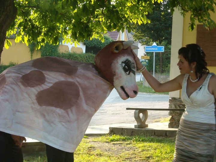Svatba - Březnice - Soukromá akce 016